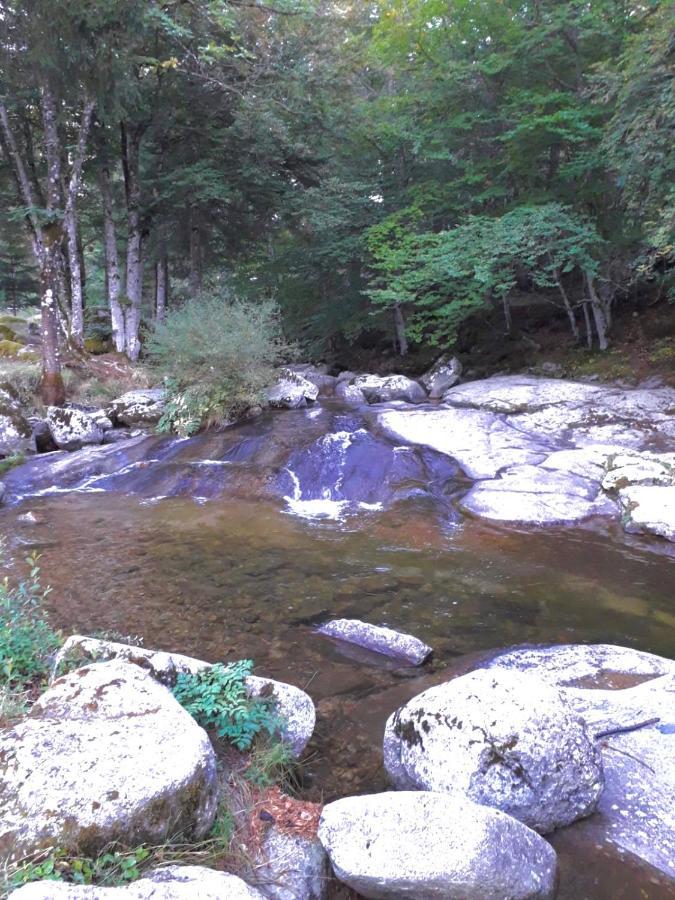 Le Pont Du Moulin Ξενοδοχείο Saint-Sauveur-Camprieu Εξωτερικό φωτογραφία